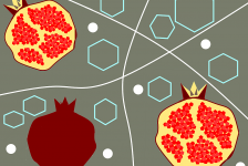 granatapfel